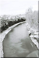 Wilts & Berks Canal frozen over, looking north