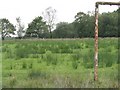 Abandoned football pitch