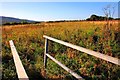 Footbridge over Trenholme Stell