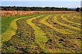 Hay Field, Near Summerfield Farm