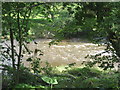 The River Coquet just downstream from a mill weir