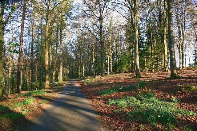 In Bowhill Estate © Tom Chisholm :: Geograph Britain and Ireland