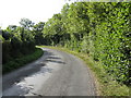 Lane Near Adamswood Farm