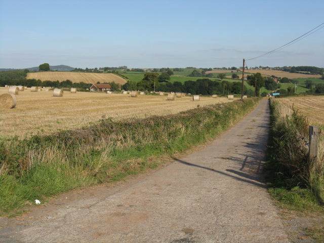 Farmland At Burton Court's Access Track