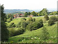 Hillside Farm From Camp Lane