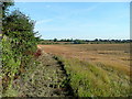 Stubble; pre-ploughing