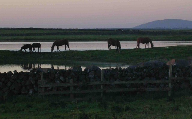 Tawin Island (East) - Evening Still, Horses more so!