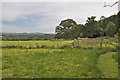 View east from the deer park - Gelli Aur Country Park