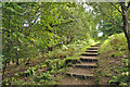SN5919 : Woodland steps - Gelli Aur Country Park by Mick Lobb