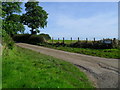 Magheraconluce Lane, Annahilt