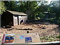 Paignton : Paignton Zoo, Peccary Enclosure