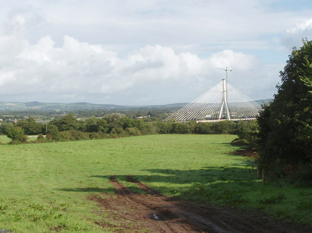 Pasture at Gracedieu, view to new cable-stayed bridge