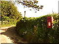 SY4199 : Pilsdon: postbox № DT6 33 by Chris Downer