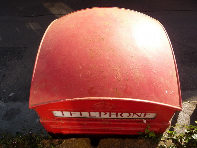 Bothenhampton: phone-box roof