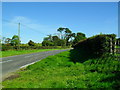 Strangford Road at Ballintogher Quarter South