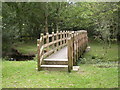 SU1611 : South Gorley, footbridge by Mike Faherty