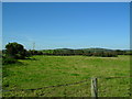 Ballyorgan Townland