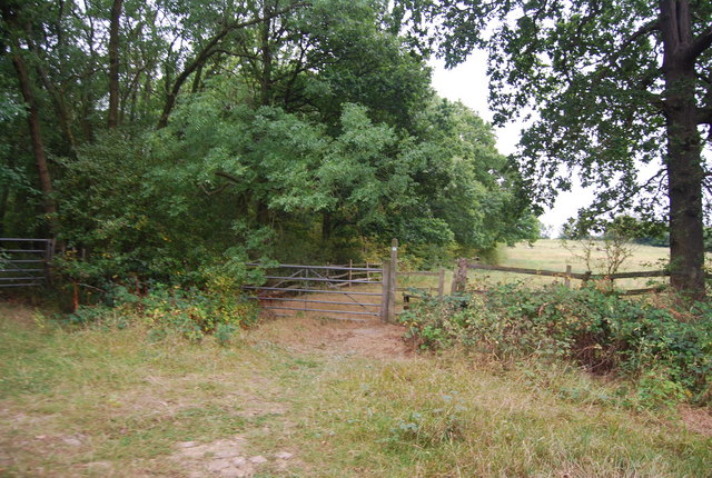 Tunbridge Wells Circular Path, Nghtingale Wood