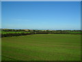 Ballybrannagh Upper Townland