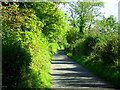 Ballynagross Road near Ballyalton