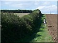 Bridleway, West Down