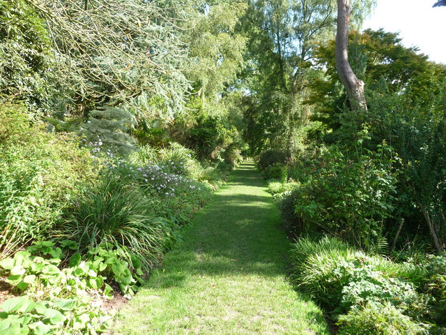 Mid Devon : Knightshayes Court, Grassy Pathway