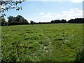 Footpath, Winterborne Kingston