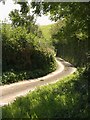 Lane near Huccombe