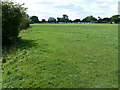 Field near the Swindon and Cricklade Railway, Blunsdon