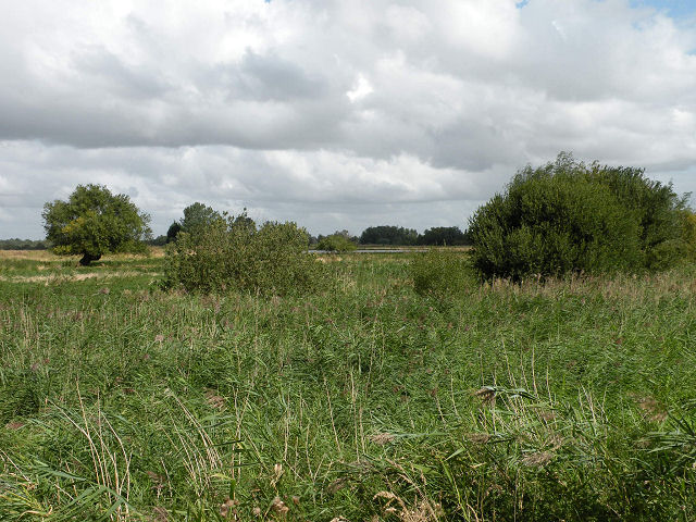 River Cam Water Meadows © Keith Edkins Geograph Britain And Ireland 2535