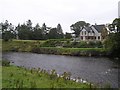 River Strule, Newtownstewart