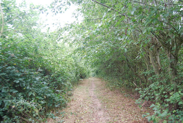 Overgrown Orchards by the Tunbridge Wells Circular Path