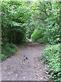 Bridleway near Middleton Manor