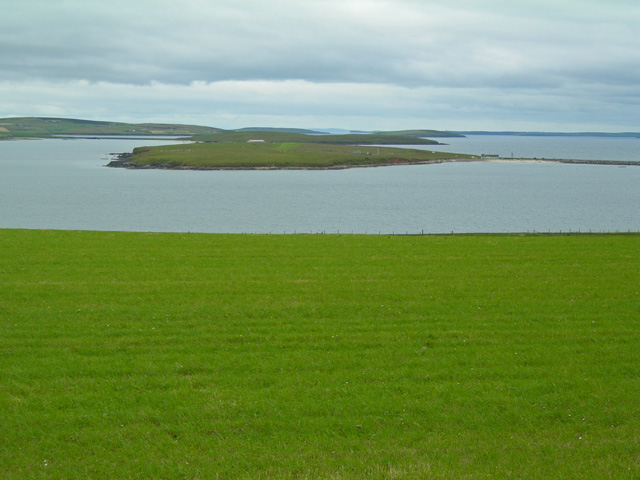 Verdant grassy field with Lamb Holm beyond