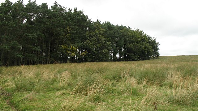 Brown's Hill
