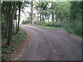 Bridleway from Godley