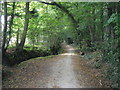 Looking SW on Bridleway towards the A 281