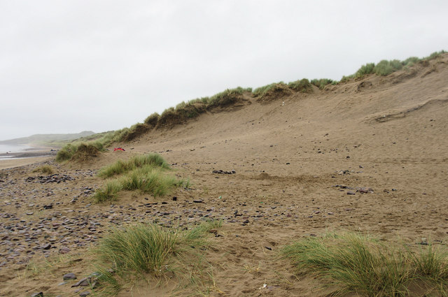 Llangennith Burrows -the Edge of the dunes