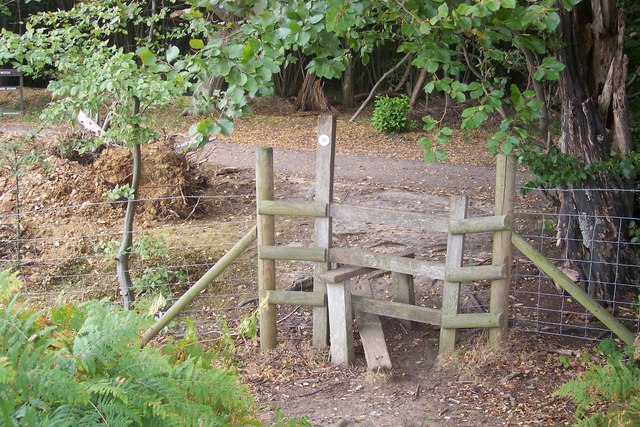 Stile into King's Wood