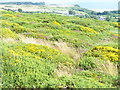 On Cefn Bryn Ridge