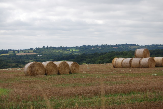 Hay Bales by the Tunbridge Wells Circular Path