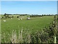 Fields and Brampton Railway