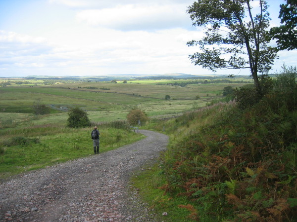 Track through Hartleyburn Common Plantation