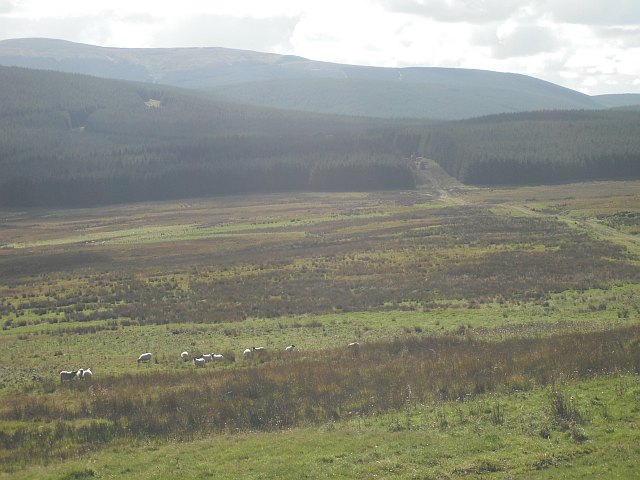 Rough grazing, south of Penchrise Pen