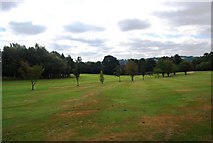 TQ5937 : The Nevill Golf Course by N Chadwick
