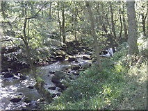 SD9829 : Hebden Water by Ivan Hall