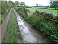 Bark Lane near Eastby