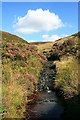 SK1497 : Coldwell Clough by David Lally