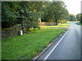 The south Cheddleton milestone in its setting