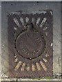 Access/ inspection cover bearing the name: Young & son, Barnstaple